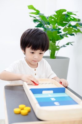 2 in 1 Sjoelbak - Plan Toys
