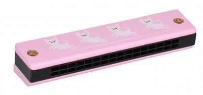 Muziekset in roze - Magni