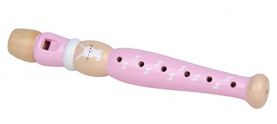 Muziekset in roze - Magni