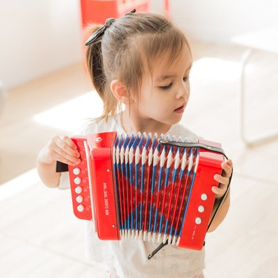 Accordeon - New Classic Toys
