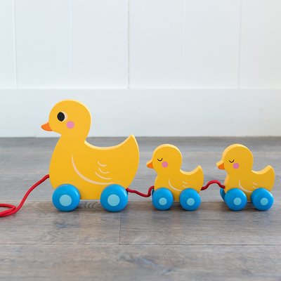Trekspeeltje Eendenfamilie - Rex London