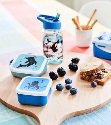 Drinkfles zeedieren blauw - Petit Monkey