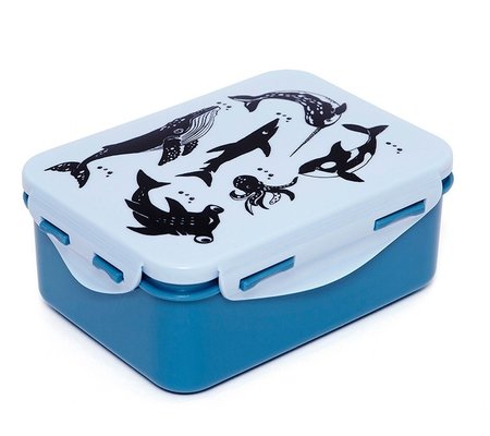 Brooddoos zeedieren - Petit Monkey