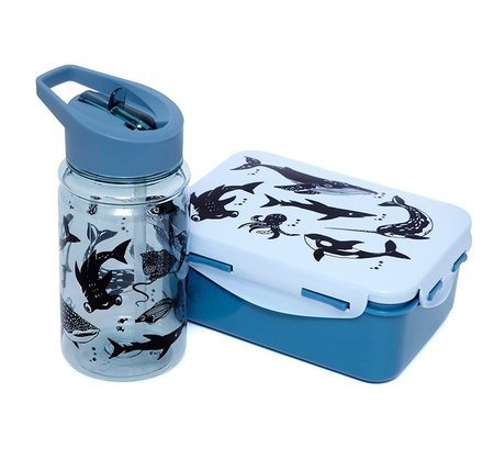 Brooddoos zeedieren - Petit Monkey