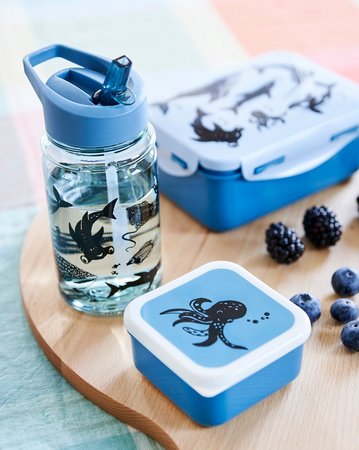 Brooddoos zeedieren - Petit Monkey